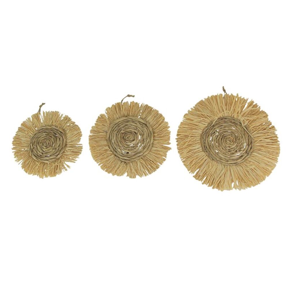Set of 3 Round Natural Woven Dried Grass Wall Hanging Sculptures Home Decor Art